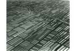 De impact van de verkaveling op het leven van de tuinders