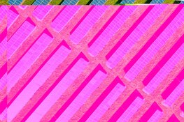 Energie en natuur hand in hand: biodiversiteit rondom duurzame energieprojecten