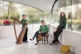 Kerstconcert: “A Celtic & Colourful Christmas” op 22 december 2024 om 14:30