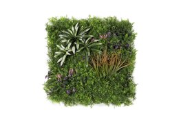 Groene innovaties in Alkmaar: Duurzame oplossingen voor een betere leefomgeving