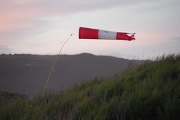 Egmondse Nieuwjaarsduik afgelast vanwege voorspelde wind
