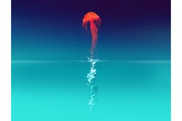 Karavaan presenteert derde editie van festival springtijd met aanstormende talent