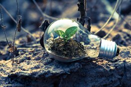 Halogeenlampen: De charme van helder licht en energiebesparing