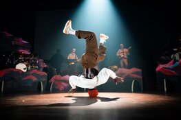 The Ruggeds en Zero Dance Theatre op 19 februari in TAQA Theater De Vest