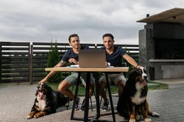 Een hek kopen voor de tuin: waar moet je op letten?