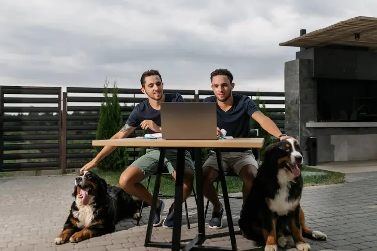 Een hek kopen voor de tuin: waar moet je op letten?