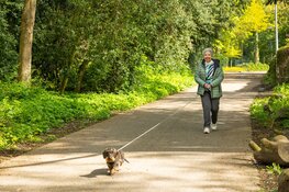 Start de lente gelukkig en gezond, met een lieve (oppas)hond!