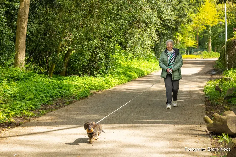 Start de lente gelukkig en gezond, met een lieve (oppas)hond!