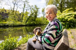 Start de lente gelukkig en gezond, met een lieve (oppas)hond!