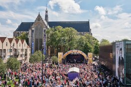 Zomer in De Mare en Zomer op het Plein komen er weer aan!