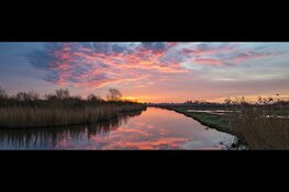 Vroege vogels in de Eilandspolder