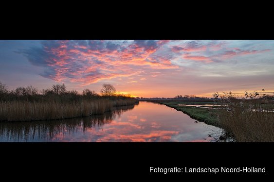 Vroege vogels in de Eilandspolder