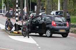 Wesp in auto zorgt voor eenzijdig ongeval