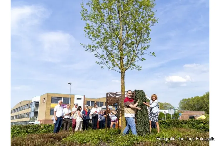 Boomring symbool van 80 jaar stedenband tussen Alkmaar en Bath