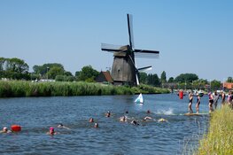 Alkmaar Sport organiseert de Open Water Alkmaar: het grootste open water zwemevenement van Nederland