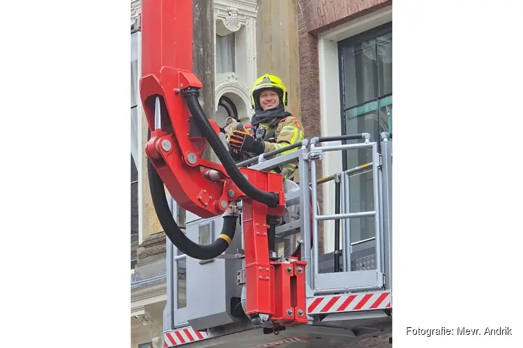 Slechtvalk in centrum Alkmaar