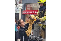 Slechtvalk in centrum Alkmaar