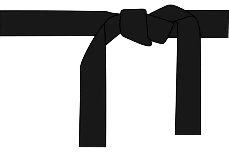 Olympisch judokampioen Mark Huizinga geeft judoclinics in Alkmaar