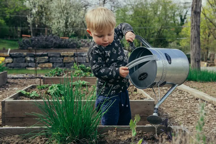 Verwen jij je planten al met vers regenwater?