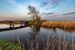 Vaar naar moerasland en trilveen in de Eilandspolder