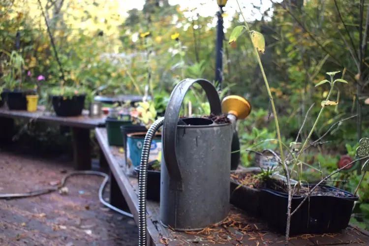 Wanneer start je met het winterklaar maken van de tuin?