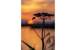 De Vier Jaargetijden in de Eilandspolder