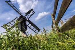 27 juli Vaarexcursie: moeras en trilveen in de Eilandspolder