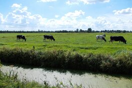 Provincie en agrariërs slaan handen ineen voor stikstofaanpak en natuurherstel