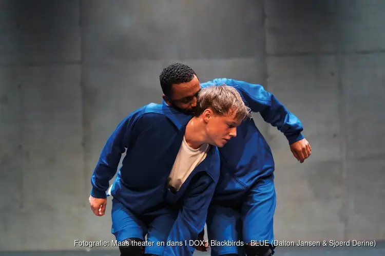 Serie Vers van De Vest – avontuurlijk theater met fikse korting