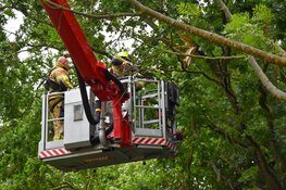 Gevaarlijk hangende tak zorgt voor wegafsluiting en inzet brandweer