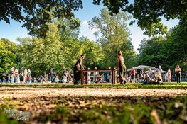 Podium onder de Boom Festival 2025