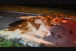 Automobilist ramt vangrail N242 en wordt aangehouden