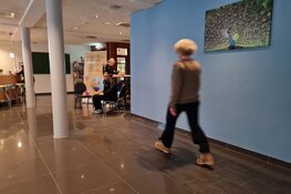 Vitaliteitsmarkt in De Rijp: gratis gezondheidstesten en advies voor 65+
