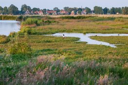 Geschiedenis van de Eilandspolder
