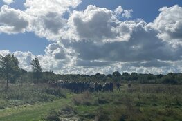 Grote belangstelling voor Inspiratiedag op Natuurbegraafplaats Geestmerloo