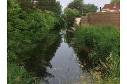 Hoogheemraadschap Hollands Noorderkwartier gaat de sloten controleren. Geef water de ruimte, check je sloot!
