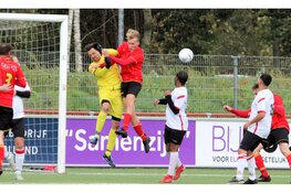 Slecht weekend voor Alcmaria Victrix