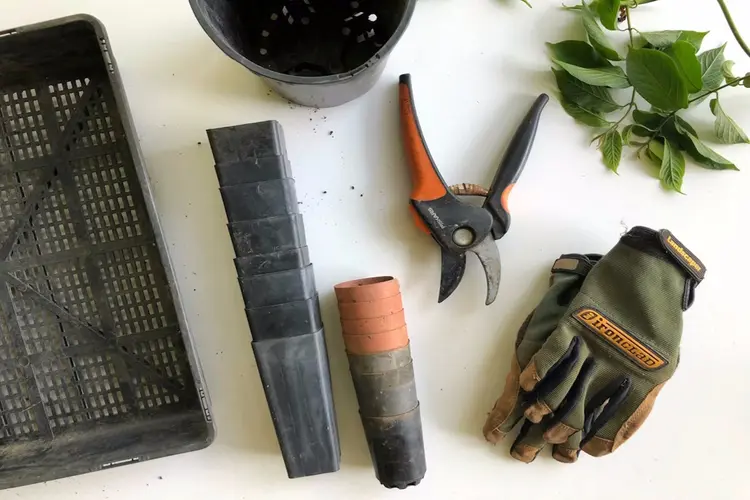 In het voorjaar een bloeiende tuin? Dan aan de slag in oktober