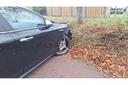 Auto botst tegen boom, automobiliste raakt rijbewijs kwijt