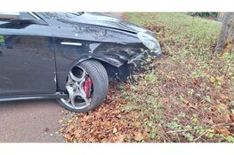 Auto botst tegen boom, automobiliste raakt rijbewijs kwijt