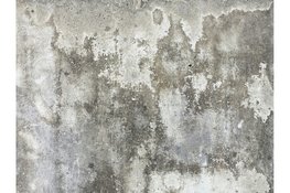 Schimmel op de muur: oorzaken, aanpak en preventie