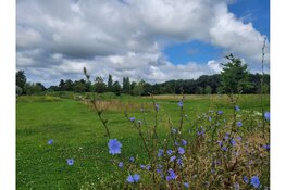 Nieuw gedeelte natuurbegraafplaats Geestmerloo
