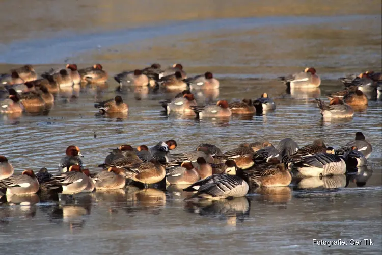 Wintervaartocht door de Eilandspolder
