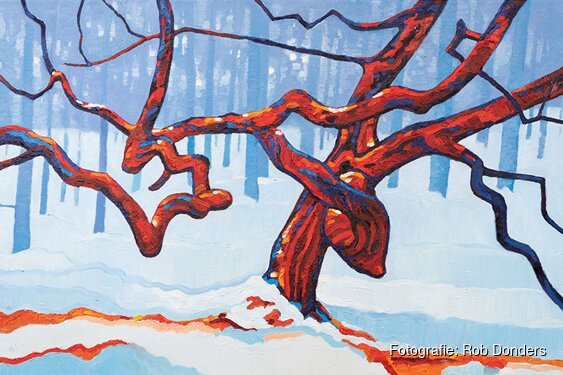 Wintersfeer in de etalages van Jumbo Monique