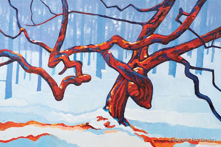 Wintersfeer in de etalages van Jumbo Monique