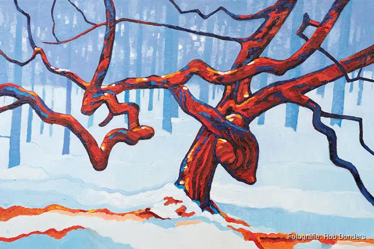 Wintersfeer in de etalages van Jumbo Monique