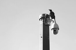 Cameratoezicht bij woning in Vroonermeer met een maand verlengd