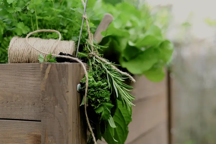 Opruimtips voor de Feestdagen: Ruimte voor Rust en Gezelligheid