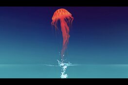 Kaartverkoop Festival Springtijd gestart