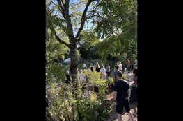 Centrum voor Qigong in Oudorp bestaat 1 jaar